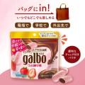 Meiji Galbo ciasteczka czekoladowe w polewie truskawkowej, 68g | JaponiaCentralna.pl