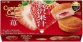 Lotte Custard Cake ciasteczka z kremem truskawkowym, 162g | JaponieCentralna.pl