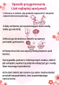 Hitachiya ozdobne ciasteczka pszenne w kształcie kwiatków, 40g   |   JaponiaCentralna.pl