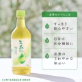 Kirin Namacha zielona herbata o bogatym smaku bez cukru, 525 ml | japoniacentralna.pl