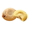 Fujiya Chiikawa Country Ma’am ciastka waniliowo-budyniowe 12 szt. 127,2 g | JaponiaCentralna.pl