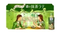 Ayataka café Matcha Latte, 440ml | JaponiaCentralna.pl
