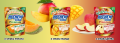 Morinaga Hi-Chew Premium gumy rozpuszczalne o smaku melona, 32g | JaponiaCentralna.pl