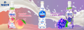 Asahi Calpis napój mleczny (koncentrat), 470ml   |   JaponiaCentralna.pl