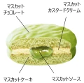 Lotte Choco Pie ciasteczka o winogrona Muscat, 210g | JaponiaCentralna.pl
