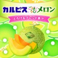 Asahi Calpis probiotyczny napój mleczny melonowy (koncentrat), 470ml | JaponiaCentralna.pl