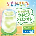 Asahi Calpis probiotyczny napój mleczny melonowy (koncentrat), 470ml | JaponiaCentralna.pl