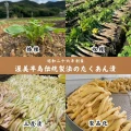 Kimura połowa rzodkwi Takuan fermentowanej metodą Nukazuke, 1/2 | JaponiaCentralna.pl