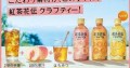 Kocha-Kaden herbata o smaku pomarańczowym, 440ml    |   JaponiaCentralna.pl