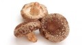 Nukuien Suszone grzyby Shiitake, 40g | JaponiaCentralna.pl