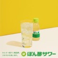 Mizkan Ponzu sos cytrusowy, 360ml | JaponiaCentralna.pl