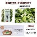 imgrc0082193121.jpg