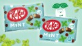 Nestle Kitkat o smaku Mięta w gorzkiej czekoladzie 12szt. - 139g | JaponiaCentralna.pl