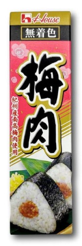 House pasta ze śliwki Umeboshi Bainiku w tubce, 35g   |   JaponiaCentralna.pl