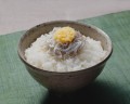 Momoya szatkowany imbir z przyprawami, 110g | JaponiaCentralna.pl