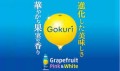 Suntory Gokuri napój o smaku grejpfruta, 400g | JaponiaCentralna.pl