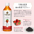 Kirin Gogo no Kocha czarna herbata truskawkowa w butelce, 500 ml  |   JaponiaCentralna.pl