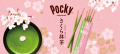 Glico Pocky Sakura and matcha flavor, 101.6g |   JaponiaCentralna.pl