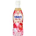 Asahi Calpis probiotyczny napój mleczny z truskawką (koncentrat), 470ml | JaponiaCentralna.pl