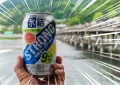 Hyoketsu Strong Double o smaku grejpfrutowym 9%, 350 ml | JaponiaCentralna.pl