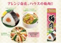 House pasta ze śliwki Umeboshi Bainiku w tubce, 35g   |   JaponiaCentralna.pl