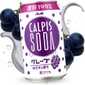 Asahi Calpis soda probiotyczny napój winogronowy, 350ml | JaponiaCentralna.pl