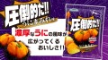 Yamayoshi Uni-mamire chipsy o smaku jeżowca, 45 g | JaponiaCentralna.pl