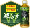 Ayataka Intensywna japońska zielona herbata,650ml | JaponiaCentralna.pl