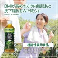Ayataka Intensywna japońska zielona herbata,650ml | JaponiaCentralna.pl