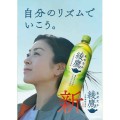 Ayataka Sencha zielona herbata , 650ml  | JaponiaCentralna.pl