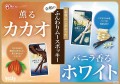 Glico Pocky Double Cacao podwójna czekolada 2 opakowania, 49,4 g   | japoniacentralna.pl
