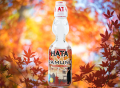Hata Ramune Soda klasyczny edycja limitowana Japonia, 200ml | Japoniacentralna.pl