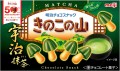 Meiji ciasteczka Uji Matcha Kinoko no Yama, 64g | JaponiaCentralna.pl