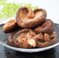 Nukuien Suszone grzyby Shiitake, 28g  |   JaponiaCentralna.pl