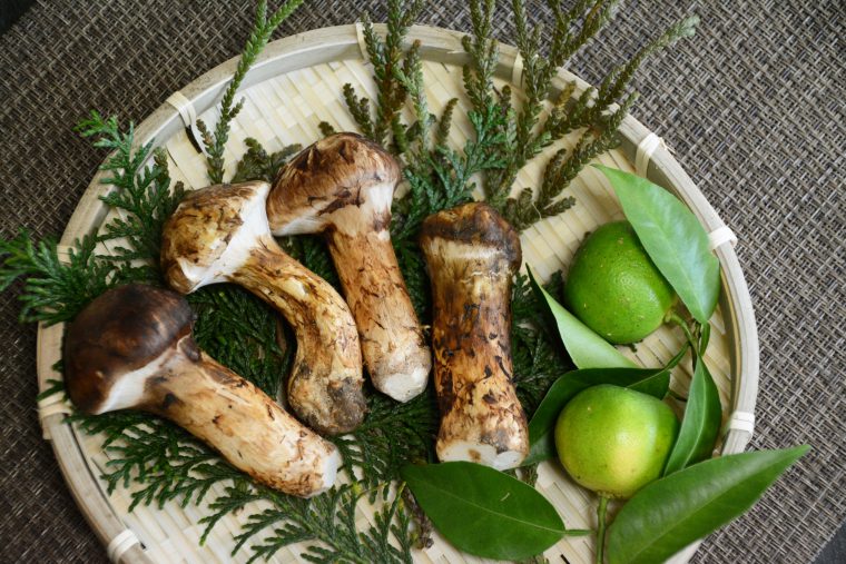 Matsutake