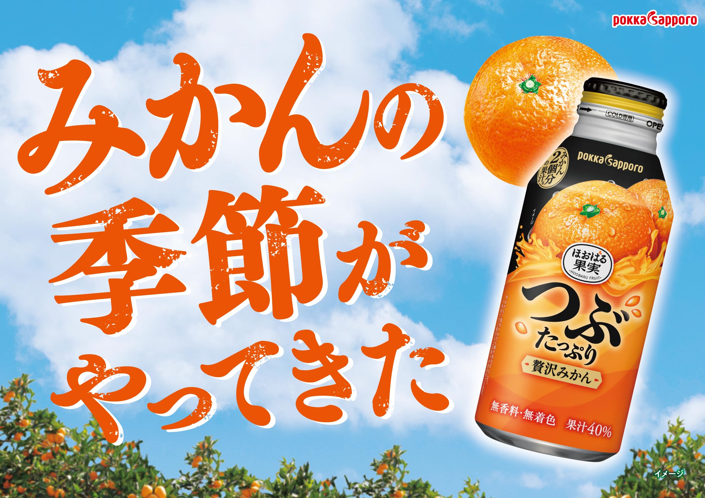 ポッカサッポロ つぶたっぷり贅沢みかん 400ml JaponiaCentralna.pl