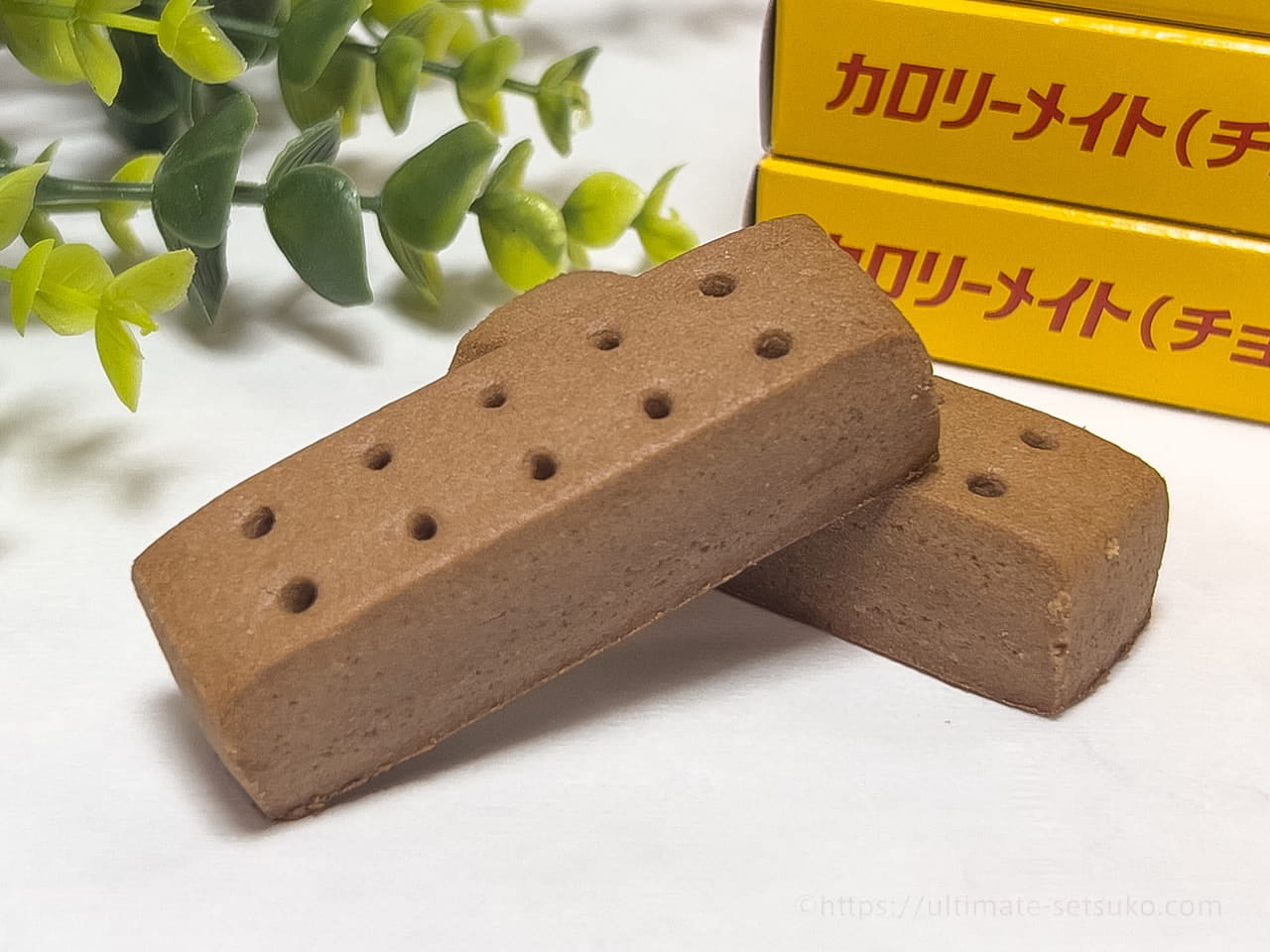 大塚製薬 カロリーメイト ブロック チョコレート味,40g