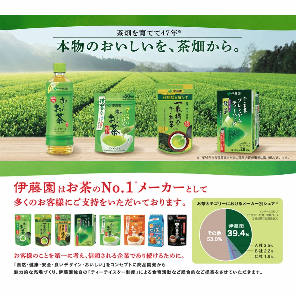 伊藤園 お～いお茶 緑茶 ティーバッグ 20袋 JaponiaCentralna.pl
